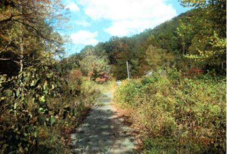 0 Halls Branch Road, Stanton, Kentucky 40380, USA