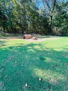 93 County Road 7625, Brookland, Arkansas 72417, Stati Uniti