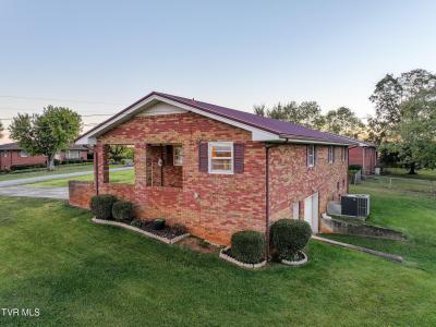 135 Walton Circle, Mosheim, 田纳西州 37818, 美国