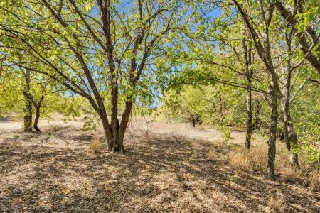 485 S Magnolia Street, Crowley, Texas 76036