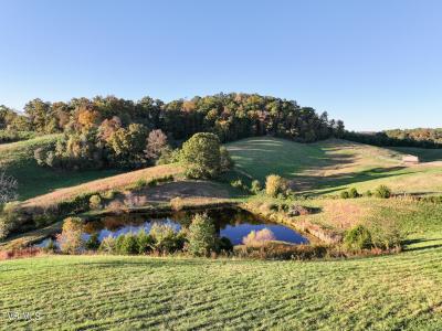 290 Roaring Fork Road, Greeneville, Tennessee 37745