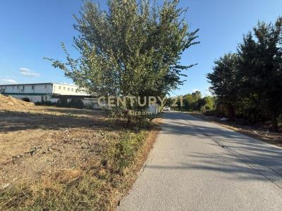 Rinas |##| Periferia Vorë, Tirana, 阿尔巴尼亚