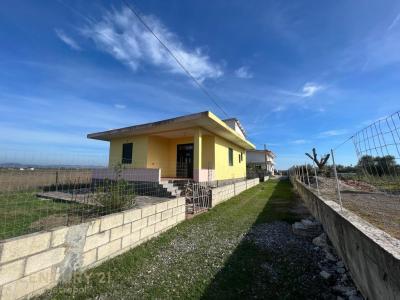 Qerret |##| Periferia	Kavajë, Kavajë, Albania