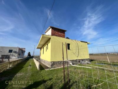 Qerret |##| Periferia	Kavajë, Kavajë, Albanien