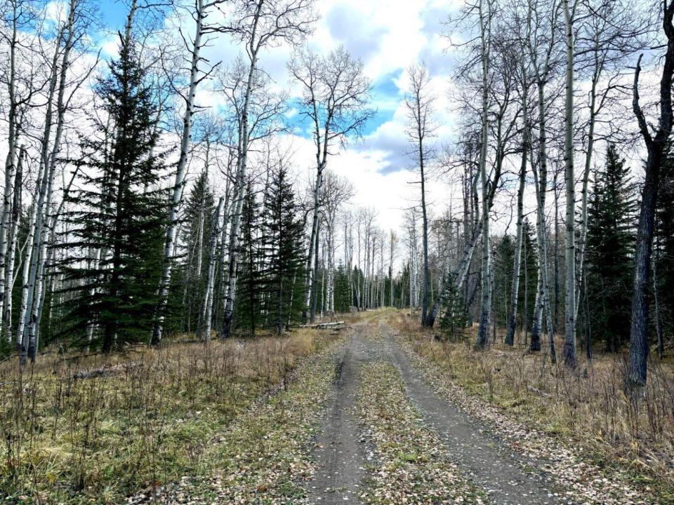 32521 RANGE ROAD 72, Rural Mountain View County, Альберта T0M 1X0, Канада