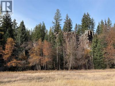 LOT 3 & 4 LAZY LAKE ROAD, Wasa, Colombie-Britannique V0B 2K0, Canada