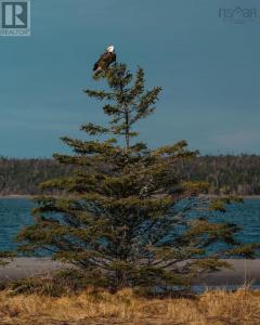 LOT M2 EAST PETPESWICK ROAD, East Petpeswick, נובה סקוטיה B0J 2L0, קנדה 