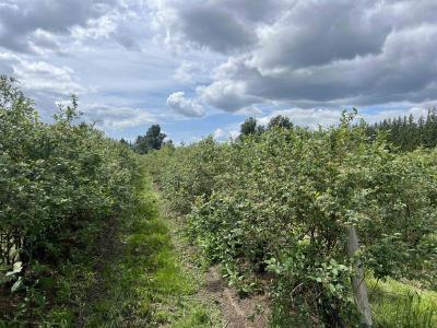 9445 CATHERWOOD ROAD, Mission, British Columbia V0M 1H0, Canada