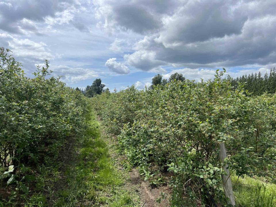 9445 CATHERWOOD ROAD, סגנון ספרדי קולוניאלי נוסח המיסיון בקליפורניה, קולומביה הבריטית V0M 1H0, קנדה 