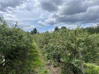 9445 CATHERWOOD, Mission, British Columbia V0M 1H0, Canada