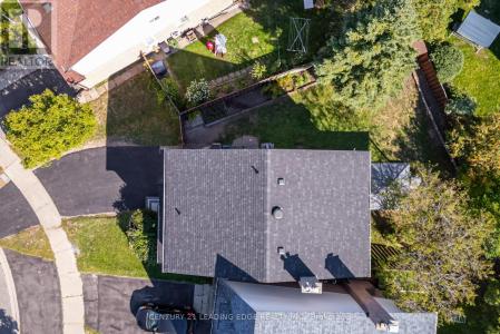 6 WHEATON GROVE, Toronto (eglinton East), Ontario M1J 3L5, Canada