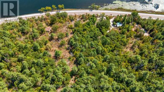 21520 HIGHWAY 7 HIGHWAY, Tay Valley, Ontario K0H 2B0, Canadá