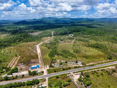 Silk Grass, Stann Creek 00001, Belize