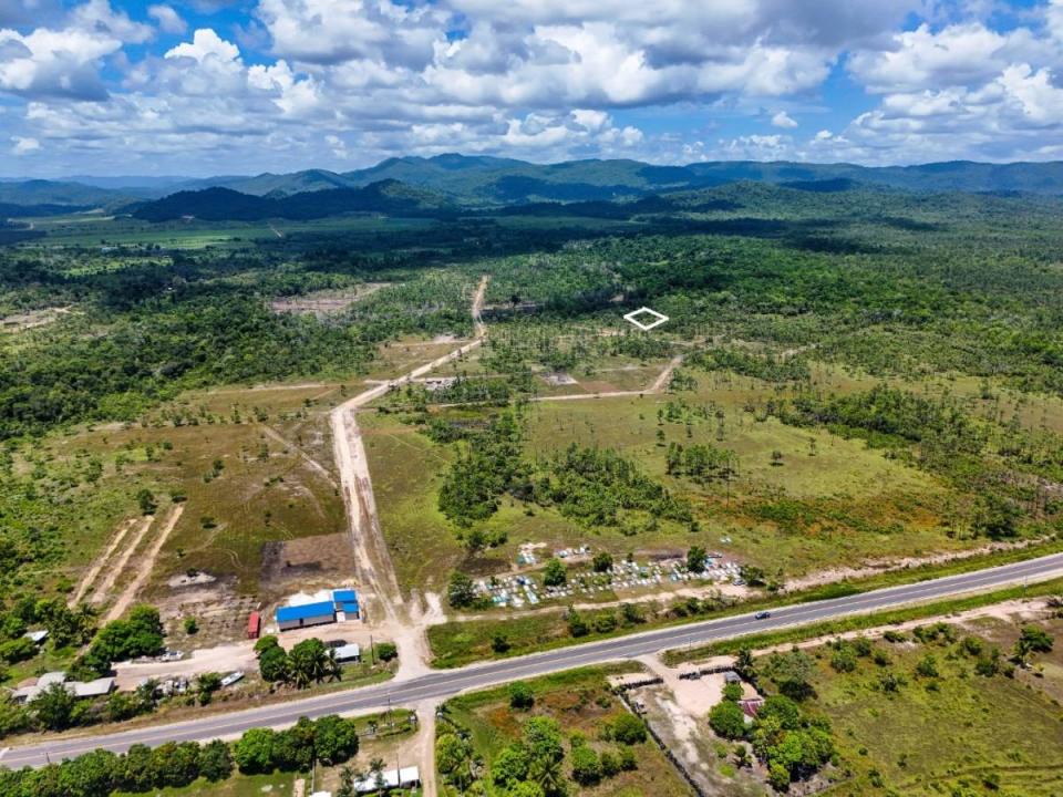 Silk Grass, Stann Creek 00001, 貝里斯