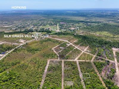 Silk Grass, Stann Creek 00001, 貝里斯