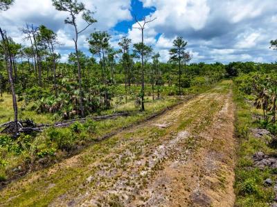 Silk Grass, Stann Creek 00001, 貝里斯