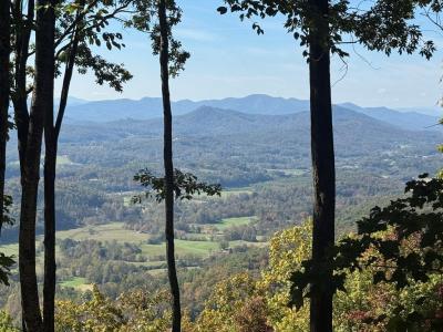 1280 Double Knobs Drive, Hayesville, North Carolina 28904, Stati Uniti