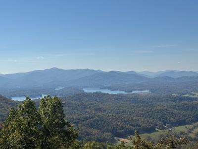 1280 Double Knobs Drive, Hayesville, North Carolina 28904, Stati Uniti