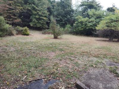 -11 Kline Boulevard, Whitehouse Station, New Jersey 08889, Stati Uniti