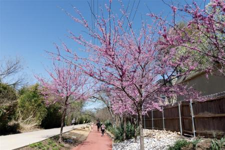 4044 Buena Vista , 104, Dallas, Texas 75204