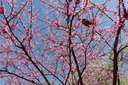 4044 Buena Vista , 104, Dallas, Texas 75204