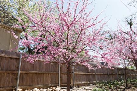 4044 Buena Vista , 104, Dallas, Texas 75204