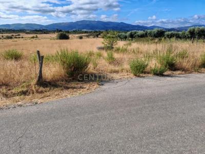 Fundão, Castelo Branco 6230-000, Portugal