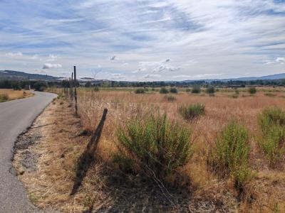 Fundão, 布朗庫堡區 6230-000, 葡萄牙