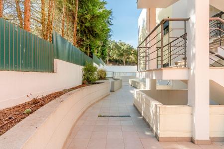 Torres Vedras, Lisbon 2565-771, Portugal