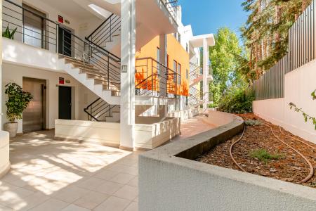 Torres Vedras, Lisbon 2565-771, Portugal