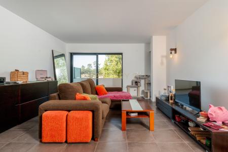 Torres Vedras, Lisbon 2565-771, Portugal