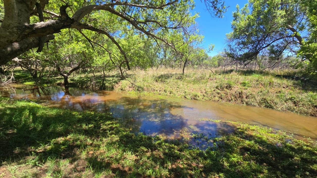 Bela Bela, Limpopo, Южная Африка