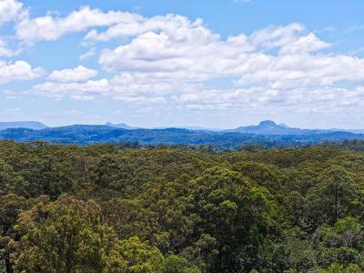 5 Johnston Place, Buderim, QLD 4556, Australia