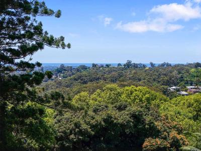 5 Johnston Place, Buderim, QLD 4556, Australia