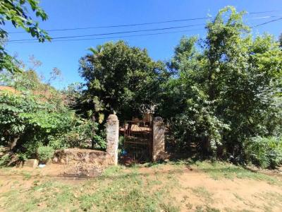 Guilermo Naumman , Emboscada, Cordillera 00001, 巴拉圭