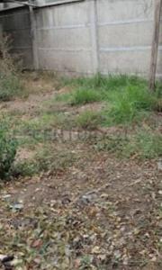 Marga Marga, Valparaíso 00001, צ'ילה 