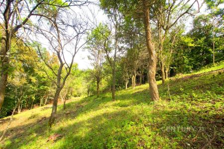 Skalsko, Mladá Boleslav, Czech Republic