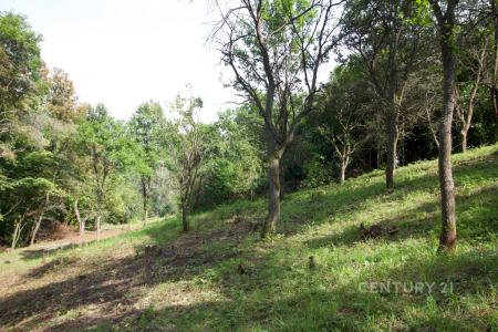 Skalsko, Mladá Boleslav, Czech Republic