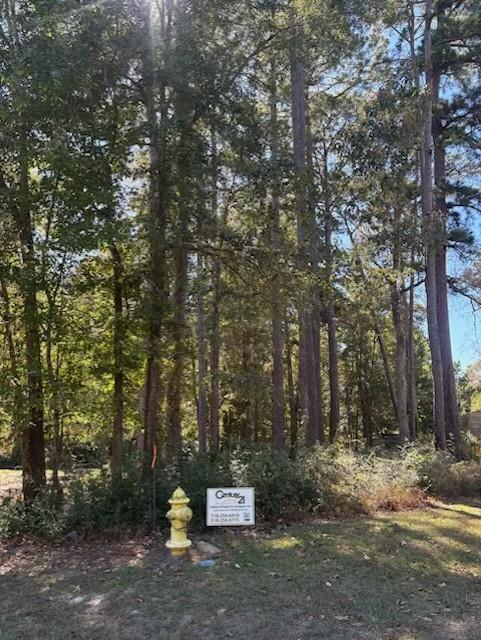 Lot 5 Braywood Subdivision Paul Road, Many, Louisiana 71449, Estados Unidos