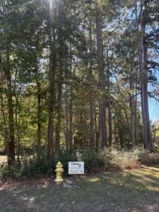 Lot 5 Braywood Subdivision Paul Road, Many, Louisiana 71449, Estados Unidos