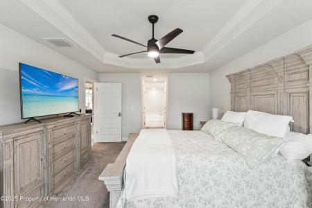 11381 Mississippi Kite Avenue, Weeki Wachee, פלורידה 34614, ארצות הברית של אמריקה 