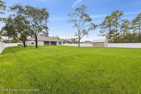 11381 Mississippi Kite Avenue, Weeki Wachee, פלורידה 34614, ארצות הברית של אמריקה 