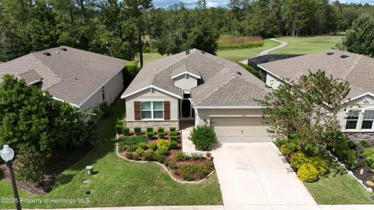 17653 Garsalaso Circle, Brooksville, Florida 34604, USA