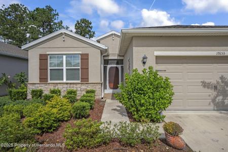 17653 Garsalaso Circle, Brooksville, 플로리다 34604, 미국