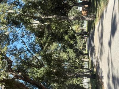 2603 Goldwyn Dr, Ruskin, Florida 33570, USA