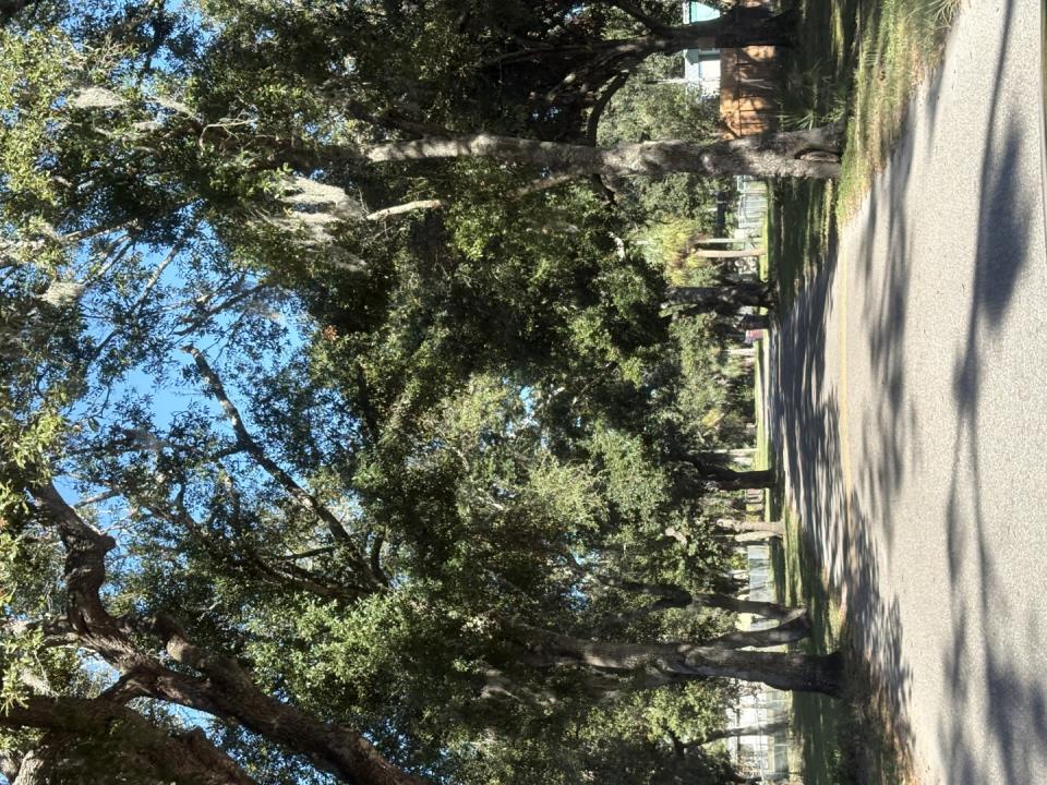 2603 Goldwyn Dr, Ruskin, Florida 33570