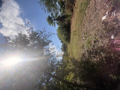 2603 Goldwyn Dr, Ruskin, Florida 33570