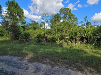 423 Wilder Avenue S, Lehigh Acres, Floride 33974, États-Unis