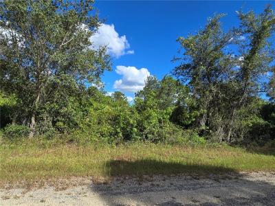 419 Wilder Avenue S, Lehigh Acres, Florida 33974