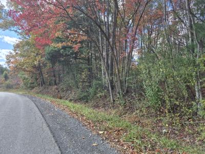 Red Star Cutoff, Oak Hill, WV 25901, USA